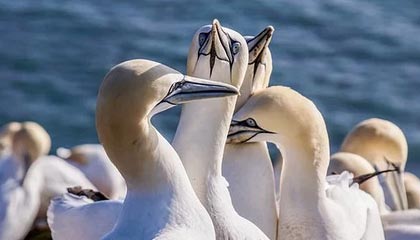 米兰体育中国官网：用官方视角点亮你的体育热情