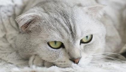 太阳社媒晒邓恩在防守训练中十分积极，并不断大声呼喊